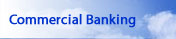 Business Accounts